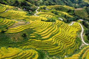 seasonal travel destinations