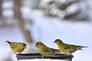 best places to visit winter