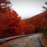 country travel guide