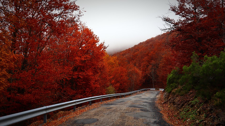 country travel guide